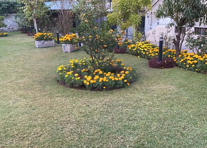 Kid friendly hotel La Maison Islamabad