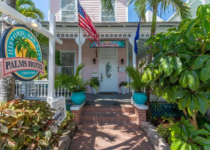 Cheap hotels Palms