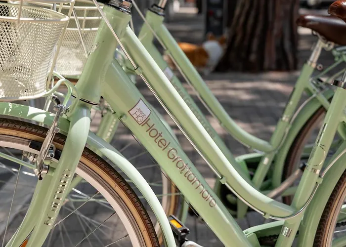 Hotel adatto agli animali: Hotel Grottamare