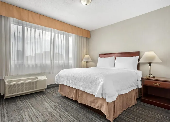 Best Western Plus Suites Downtown