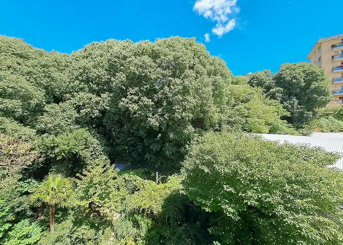 Porto Vivo