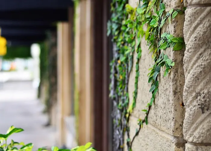 Resort: Hotel St. Michel