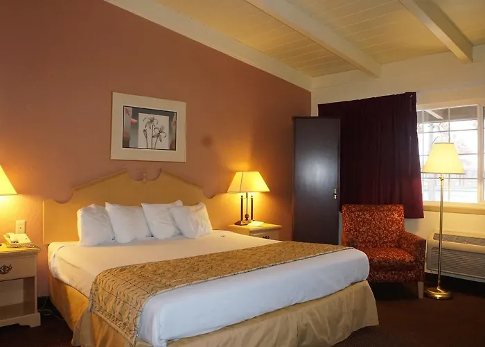 Americas Best Value Inn & Suites