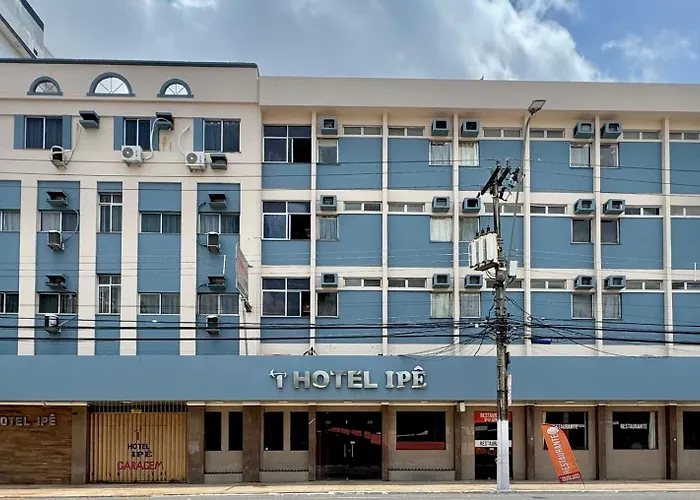  Ipê
