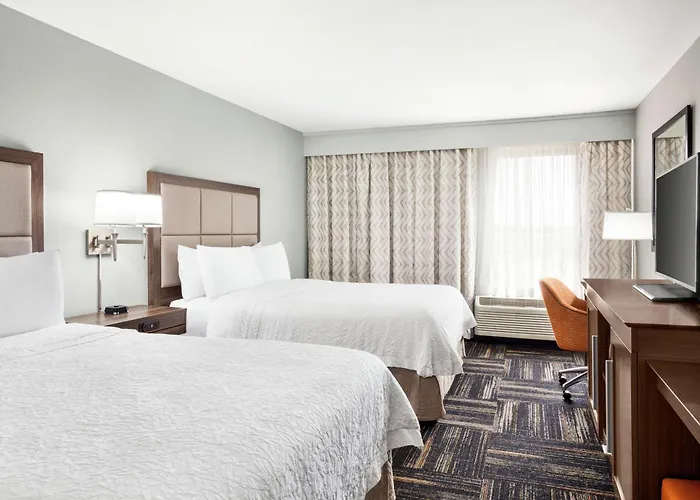 Pet Friendly hotel: Hampton Inn Paris
