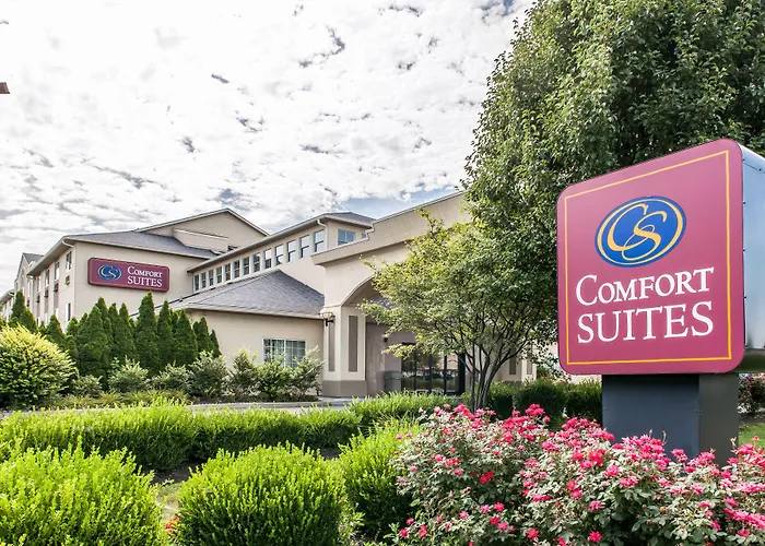 Airport Hotel: Comfort Suites Columbus Expo Center