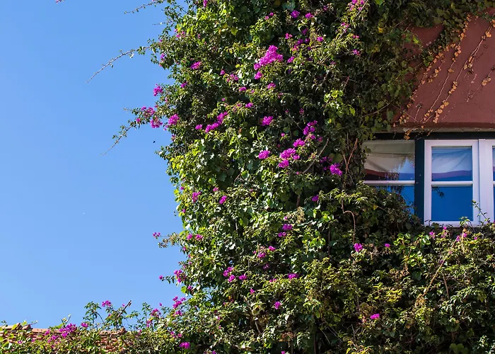 Luxushotel: York House Lisboa Hotel