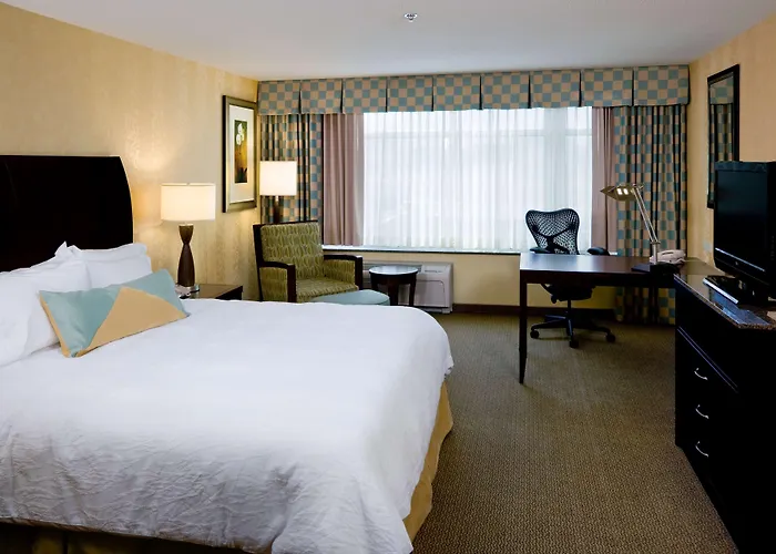 3 star hotel: Hilton Garden Inn Mankato Downtown