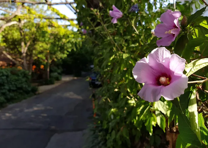 Cheap hotel: Residence Villaggio Verde