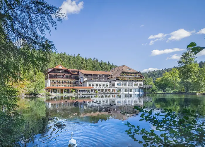 Hotel Langenwaldsee
