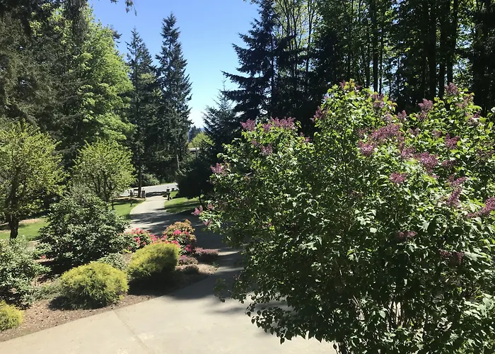 Maple View Bed And Breakfast