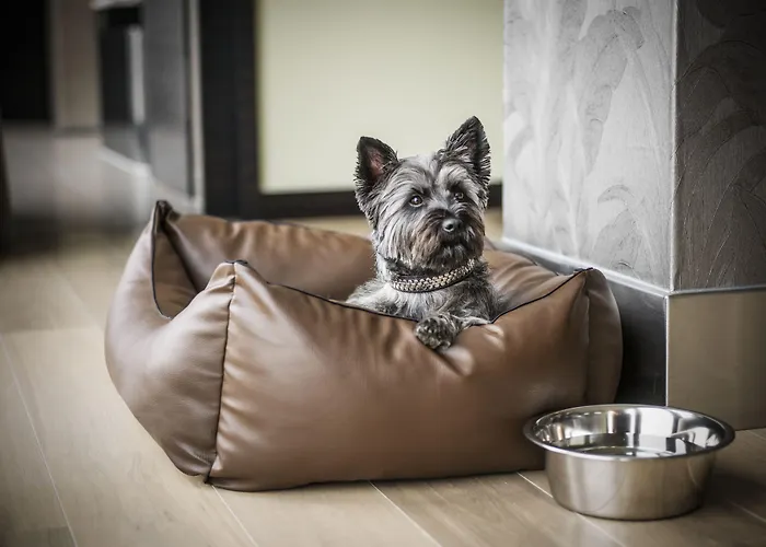 Hyatt Regency Dusseldorf