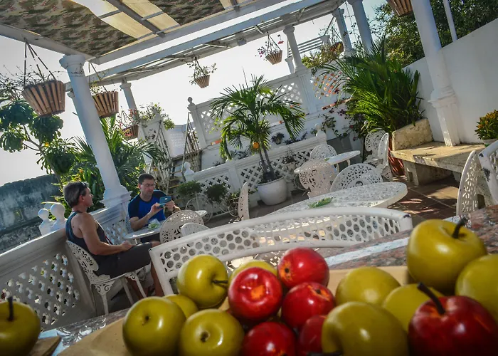 Dog friendly hotels Casa Mary