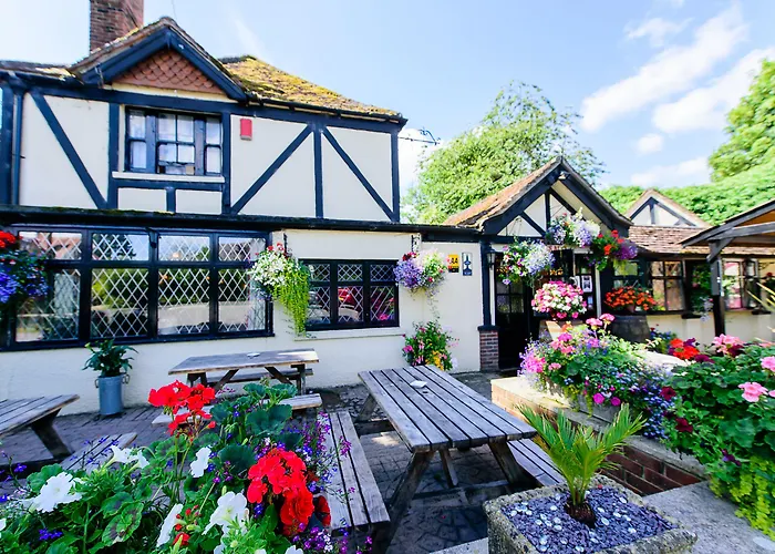 3 star hotel: Ye Olde Red Lion