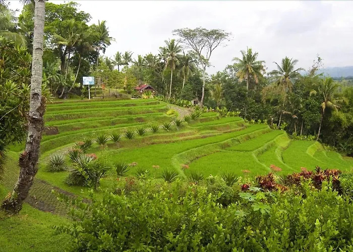 Golf hotel: Puri Asri Hotel & Resort