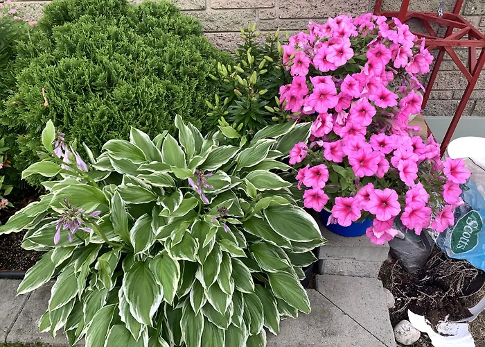 Motel: Trunk Road Motel