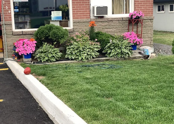 Motel: Trunk Road Motel