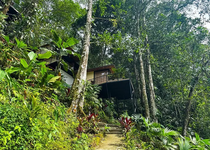 Rincon De La Sierra Minca
