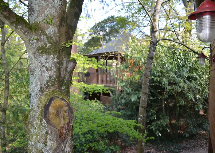 Manoir Du Parc (Adults Only)