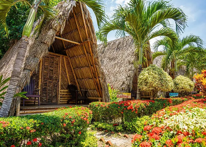 Tiki Hut Hostel