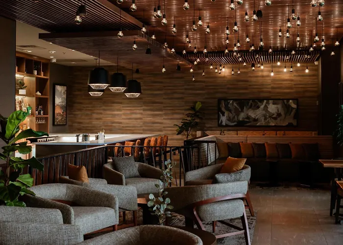 Pet Friendly hotel: Hilton Garden Inn Colorado Springs Downtown, Co