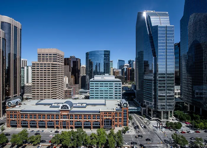 Pet Friendly hotel: Residence Inn By Marriott Calgary Downtown/Beltline District