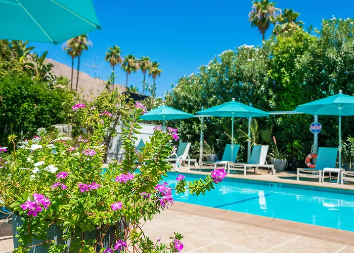 Bellevue Oasis - Adults Only