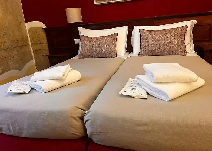 Hotel adatto agli animali: Hotel Nizza