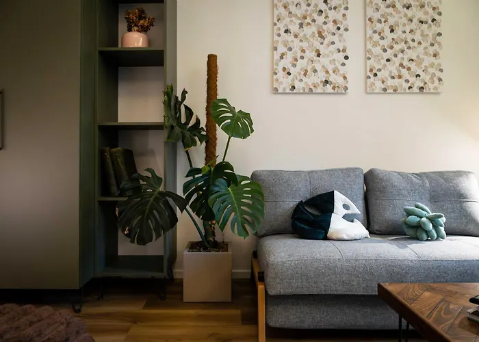 Urban Jungle Apartments