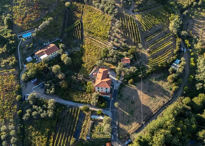 Agriturismo La Collina Verde