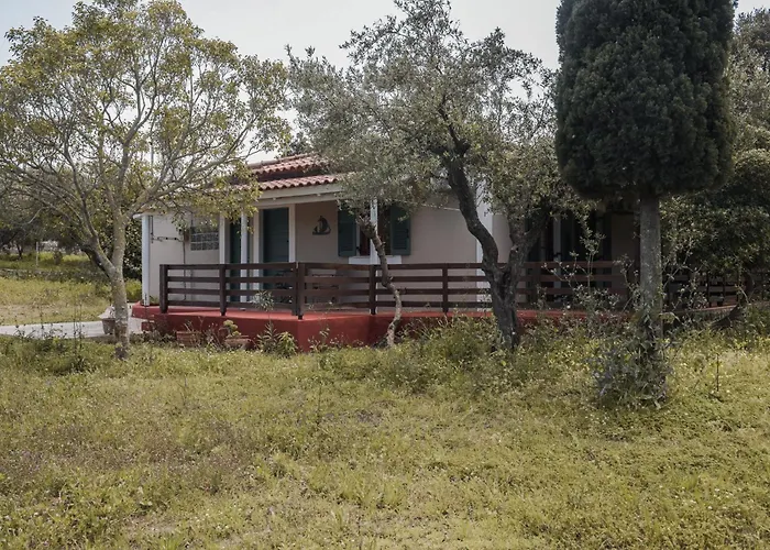 Lithies Organic Farm