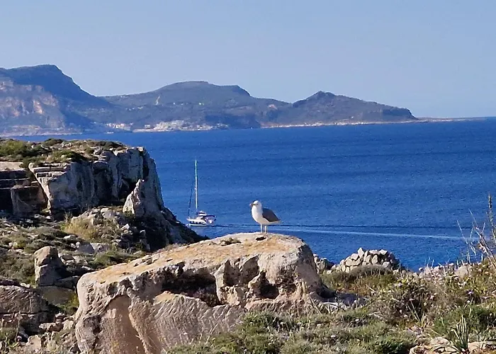 Albergo a parte: Miramare Residence