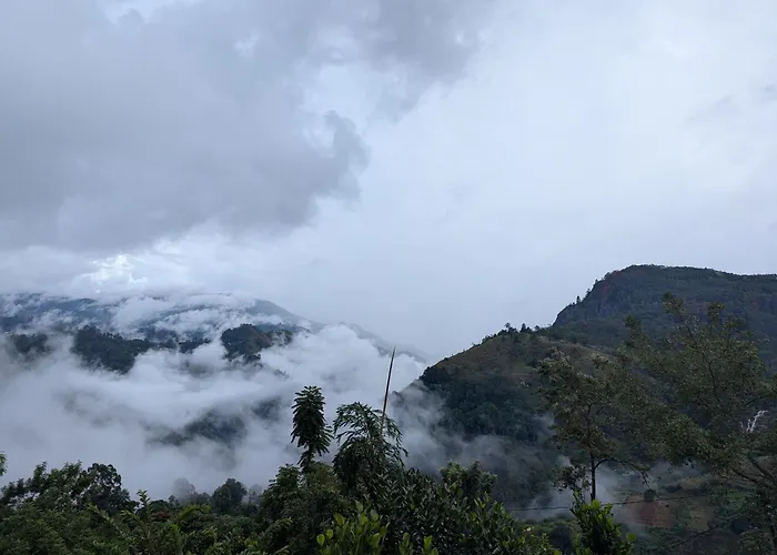 Rock Paradise Homestay