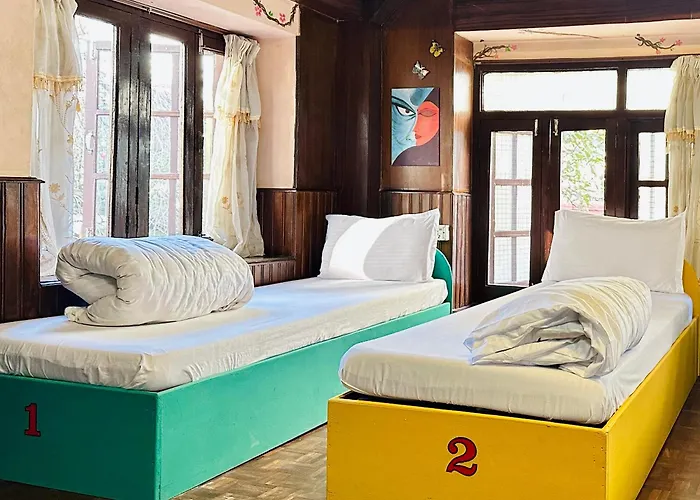 Hostel: Yog Hostel- Best Social Backpacker Hostel In Thamel -Rooftop-Capsule Bunks Ac