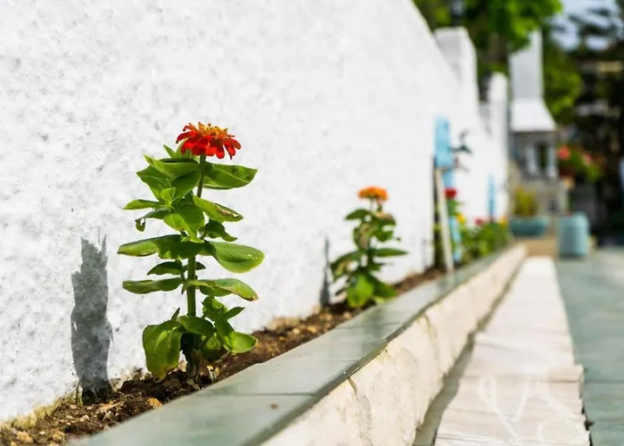 Apart hotel: Anna'S Studios & Apartments