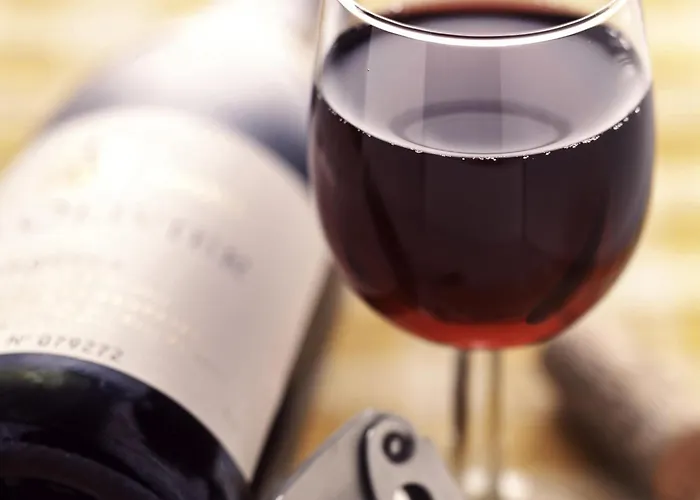 Hotel adatto agli animali: Ibis Paris Italie Tolbiac