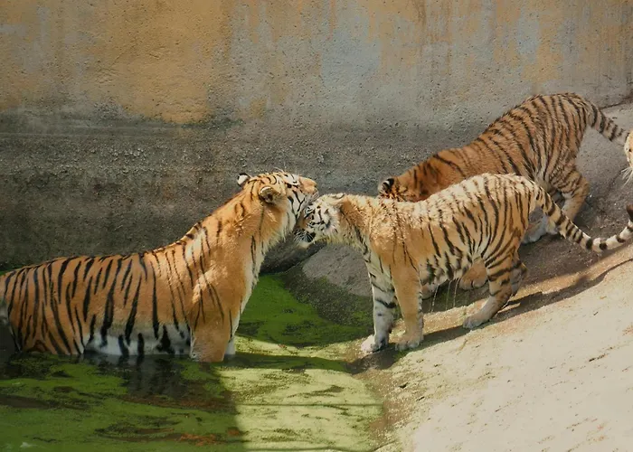 Holiday Inn Munich - Westpark By Ihg