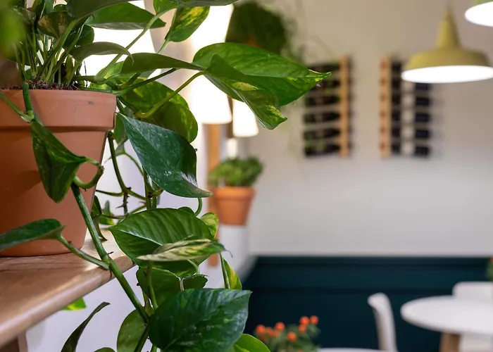 Family Friendly Hotels Ibis Dunkerque