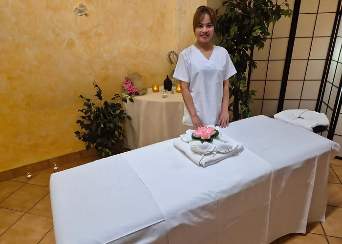 Lh Hotel Dvorak Tabor Congress & Wellness
