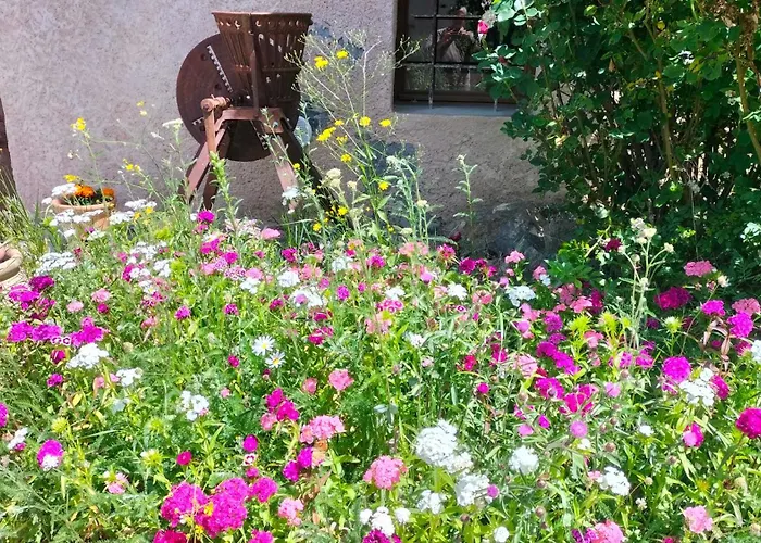 La Jarbelle - Gite Et Spa