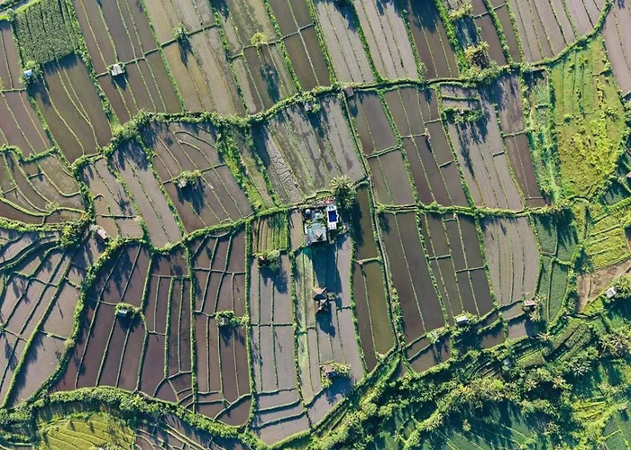Gumibali Villa