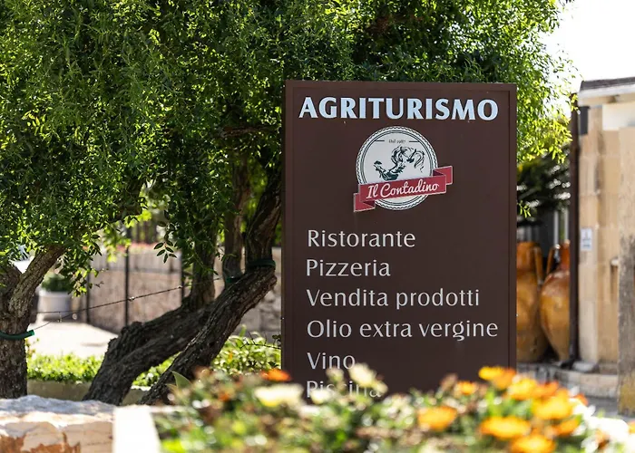 Agriturismo il Contadino