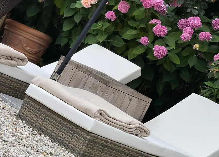 De Roos Leeuwarden