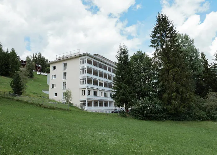 Davos Youth