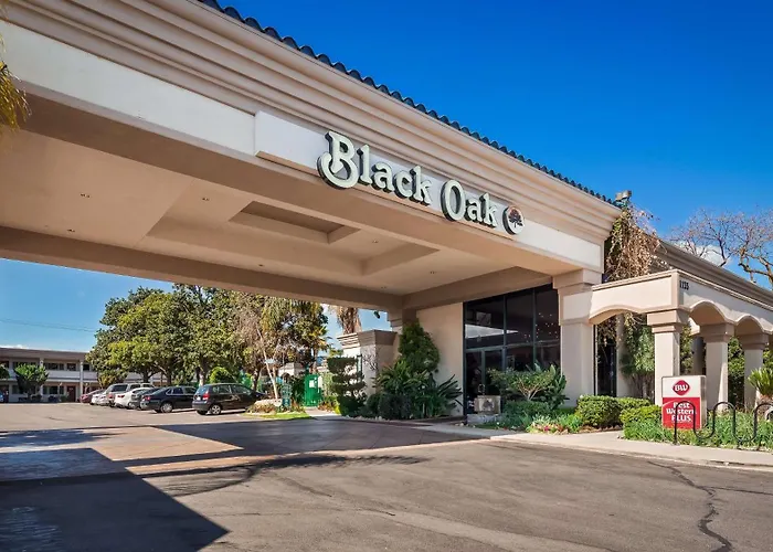 Cheap hotels Best Western Plus Black Oak