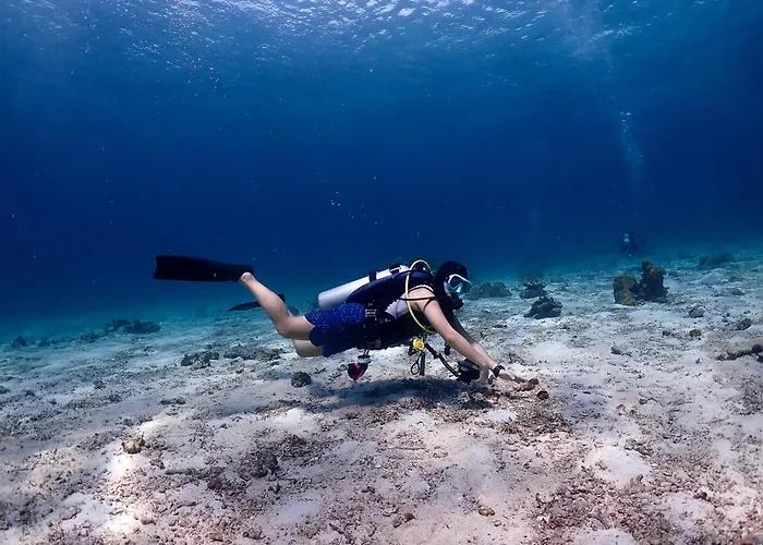  Adang Sea Divers & Eco