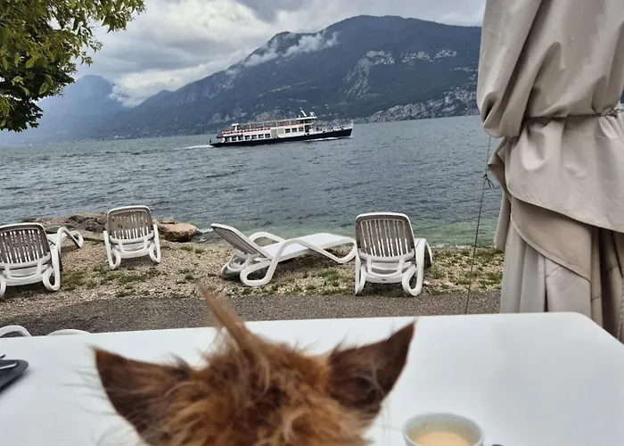 Hotel mit Hund Piccolo Direkt Am