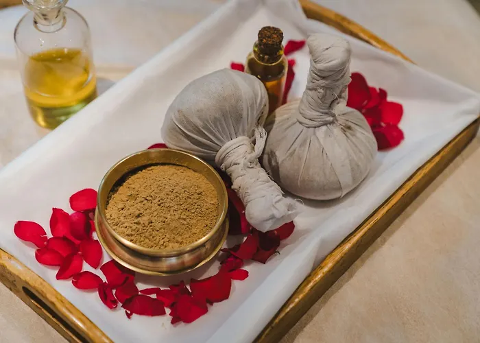 Fazlani Natures Nest - The Wellness Retreat