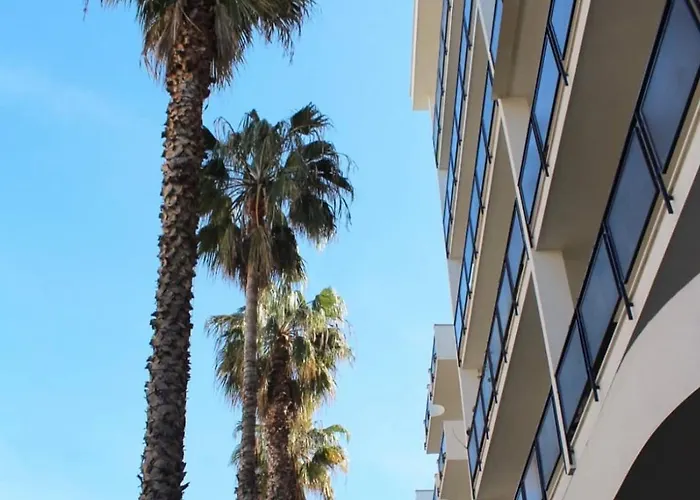 Le Palme