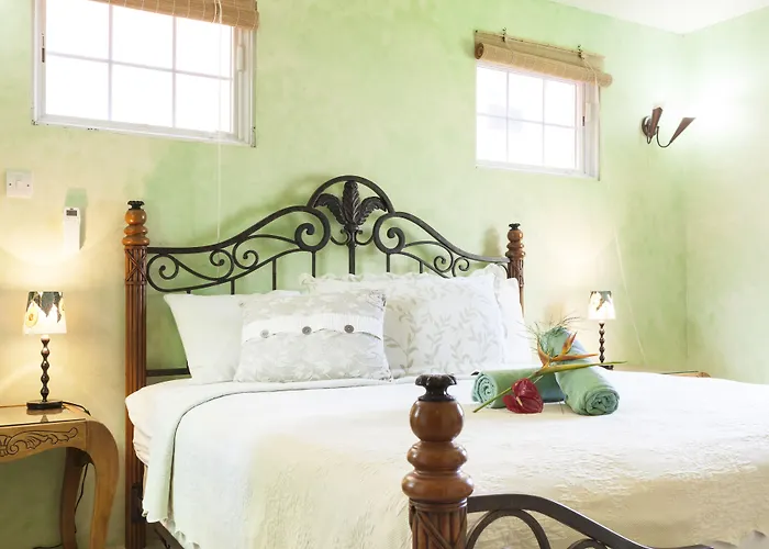Hotels With Four Stars Maca Bana